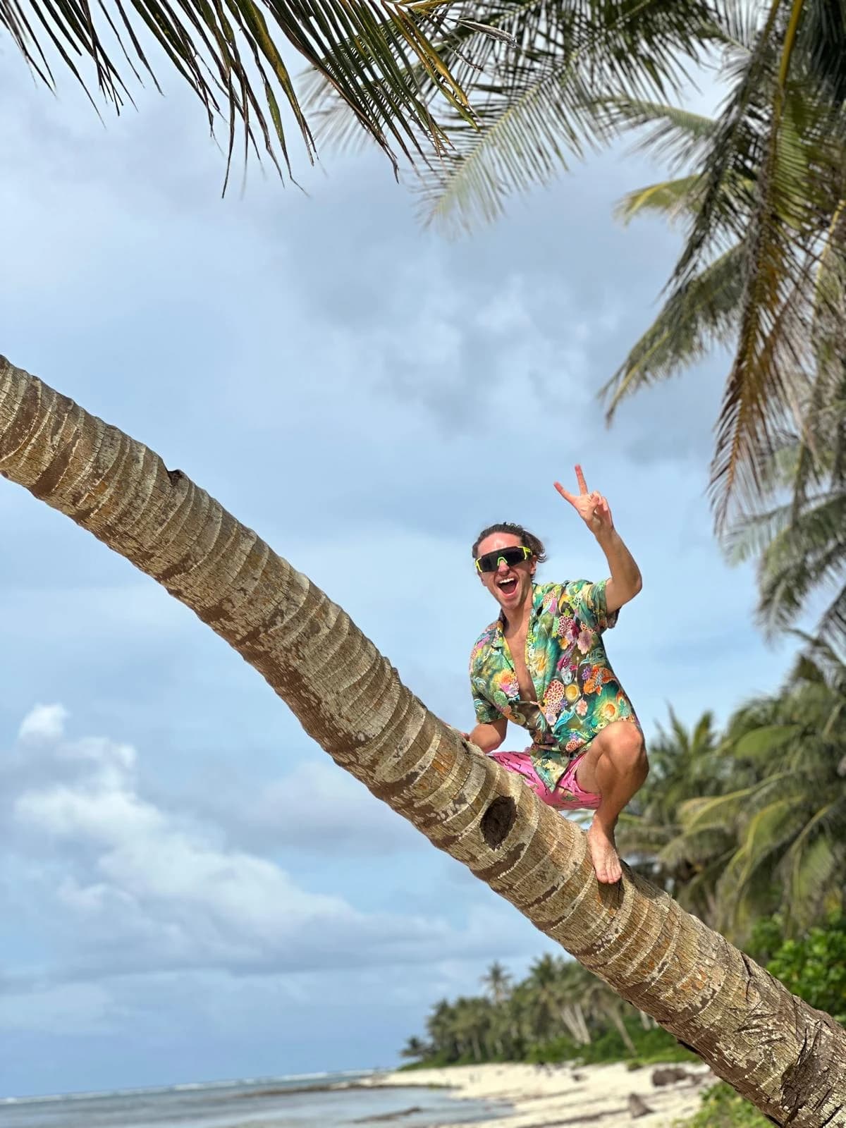 Ollie Hawkins smiling from a palm tree on a tropical beach beneath a bright blue sky.